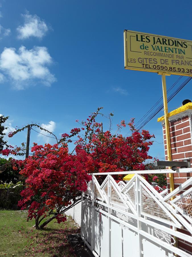 Les Jardins De Valentin * Le Gosier (Grande-Terre)